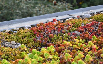 the cost of West Blackdene green roof installation